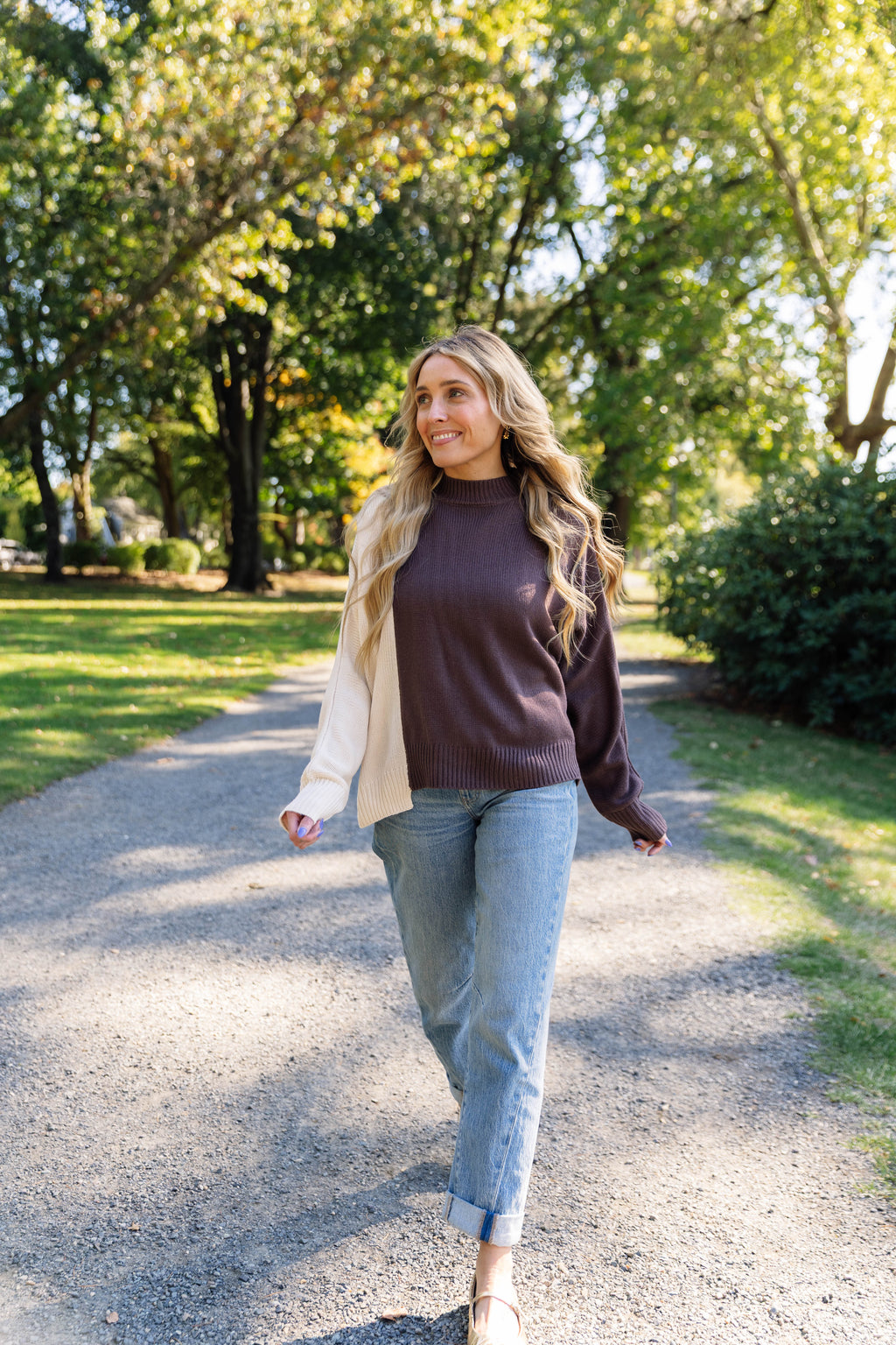 Ailani Two Tone Knit Sweater in Brown