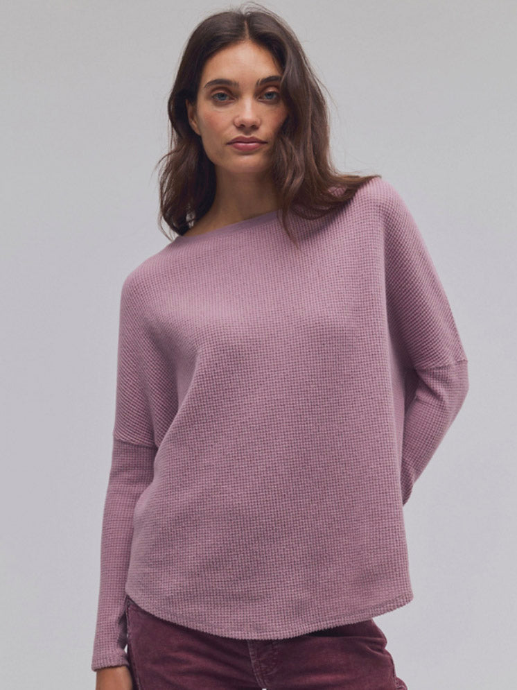 Latte Blues Solid Thermal - Winter Tulip