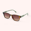 Jacinda Sunglasses in Tortoiseshell + Moss