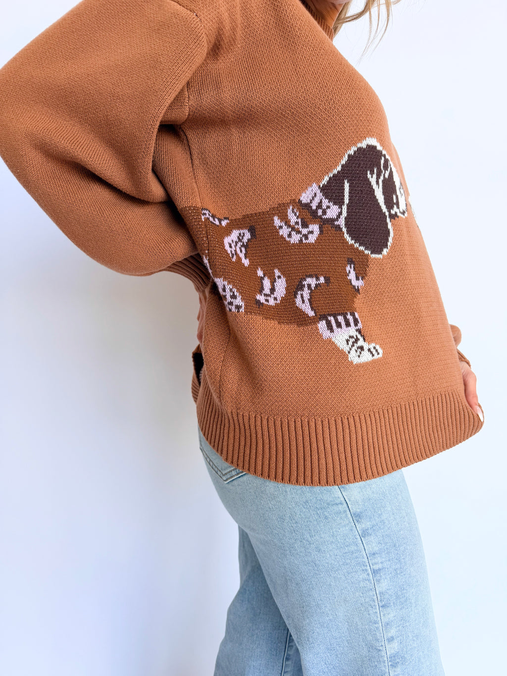 Kylie Knit Dog Sweater in Burnt Orange